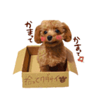 りおん スタンプ（個別スタンプ：1）