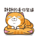 ランラン猫 12 (台湾版)（個別スタンプ：6）