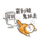ランラン猫 12 (台湾版)（個別スタンプ：14）