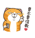 ランラン猫 12 (台湾版)（個別スタンプ：26）