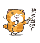 ランラン猫 12 (台湾版)（個別スタンプ：31）