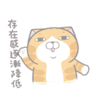 ランラン猫 12 (台湾版)（個別スタンプ：35）