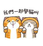 ランラン猫 12 (台湾版)（個別スタンプ：38）