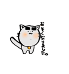 太まゆネコ（個別スタンプ：5）