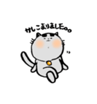 太まゆネコ（個別スタンプ：6）