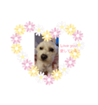 まりちゃん、愛してる❤（個別スタンプ：3）