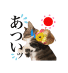 レオ＆みーちゃんスタンプ（個別スタンプ：35）
