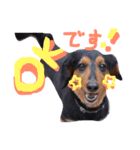 ドッグッド！（個別スタンプ：13）