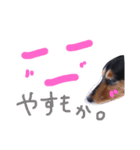 ドッグッド！（個別スタンプ：14）