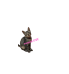 ゆずさま(恋人に送る言葉)（個別スタンプ：3）
