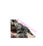 ゆずさま(恋人に送る言葉)（個別スタンプ：5）