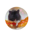 ハムスター☆みるくプリンの日常（個別スタンプ：2）