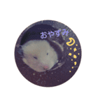 ハムスター☆みるくプリンの日常（個別スタンプ：3）