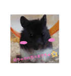 ハムスター☆みるくプリンの日常（個別スタンプ：6）