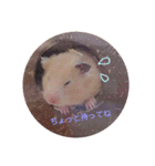 ハムスター☆みるくプリンの日常（個別スタンプ：14）