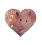 ハムスター☆みるくプリンの日常（個別スタンプ：21）