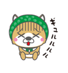 泥棒しば犬 ぺろ（個別スタンプ：12）