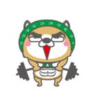 泥棒しば犬 ぺろ（個別スタンプ：19）