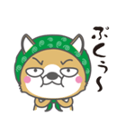 泥棒しば犬 ぺろ（個別スタンプ：23）