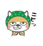 泥棒しば犬 ぺろ（個別スタンプ：27）