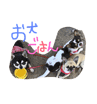 稜也2（個別スタンプ：1）