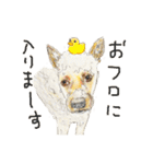 かわいすぎるわんこたち（ほぼ雑種犬）（個別スタンプ：29）