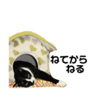 これがねこだ（個別スタンプ：15）