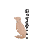 ワンダフルLife（個別スタンプ：12）