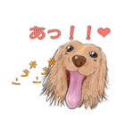 ワンダフルLife（個別スタンプ：13）