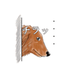 ワンダフルLife（個別スタンプ：16）