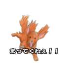 ワンダフルLife（個別スタンプ：17）