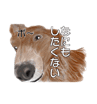 ワンダフルLife（個別スタンプ：21）