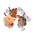 ワンダフルLife（個別スタンプ：22）