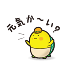 やまなし防災ブック カメダ君（個別スタンプ：1）