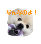 いろはとおともだち（個別スタンプ：3）