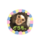 いろはとおともだち（個別スタンプ：8）