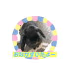 ロップ小町の毎日（個別スタンプ：7）