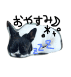 はなぽたすたんぷVol.1（個別スタンプ：3）