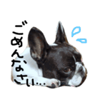 はなぽたすたんぷVol.1（個別スタンプ：6）