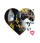 はなぽたすたんぷVol.1（個別スタンプ：10）