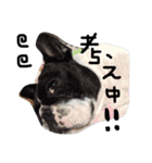 はなぽたすたんぷVol.1（個別スタンプ：11）