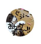 はなぽたすたんぷVol.1（個別スタンプ：13）