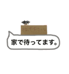 チワワのたぁたん（個別スタンプ：10）