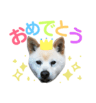 田中 虎太郎（個別スタンプ：2）