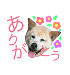 田中 虎太郎（個別スタンプ：3）