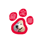 田中 虎太郎（個別スタンプ：32）