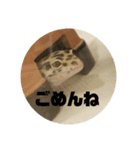 トカゲモドキのちゅるちゃん（個別スタンプ：10）