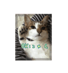 ねこちゃんのお返事スタンプ（個別スタンプ：7）