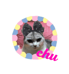 ねこのここ、めい、もか、ひめ。（個別スタンプ：7）