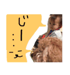 やんちゃBoysときどき犬（個別スタンプ：10）